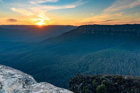 Blue Mountains Sunset Tour | Kangaroos & Koala Encounter (Private Tour) - Accommodation Mount Tamborine 5