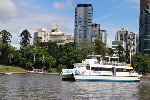 Lone Pine Koala Sanctuary Admission With Brisbane River Cruise - Accommodation Mount Tamborine 2