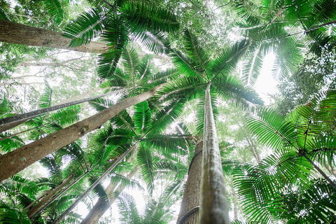 Fraser Explorer K'gari 2-Day Tour - Accommodation Mount Tamborine 2