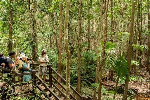 Fraser Explorer K'gari 2-Day Tour - Accommodation Mount Tamborine 5