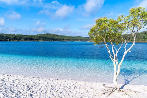 Lake McKenzie Full-Day Tour With Lunch From Hervey Bay - Accommodation Mount Tamborine 1