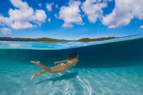 Lake McKenzie Full-Day Tour With Lunch From Hervey Bay - Accommodation Mount Tamborine 5