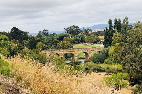 Day Tour In Mt. Field, Mt. Wellington, Bonorong Wildlife Sanctuary And Richmond - Accommodation Mount Tamborine 3