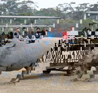 Off-Road Safari at Werribee Open Range Zoo - Accommodation Mount Tamborine
