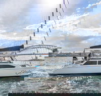 Vivid 90-Minute Sydney Harbour Catamaran Cruise with BYO Drinks - Accommodation Mount Tamborine