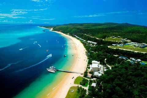 Tangalooma Island Resort Whale Watching Day Cruise - Accommodation Mount Tamborine 2
