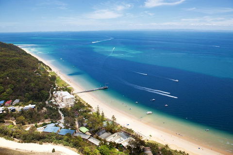 Tangalooma Island Resort Whale Watching Day Cruise - Accommodation Mount Tamborine 3