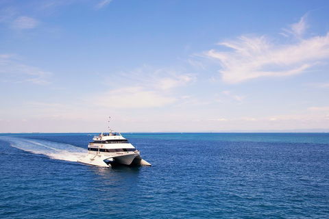 Tangalooma Island Resort Whale Watching Day Cruise - Accommodation Mount Tamborine 5