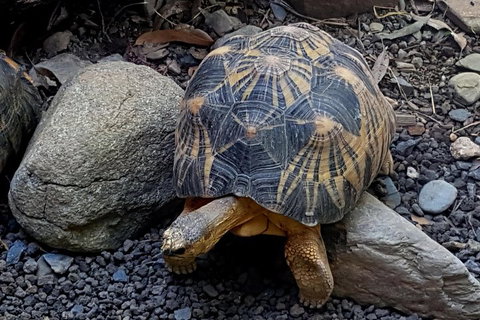 Hartley's Crocodile Adventures General Entry Ticket - Accommodation Mount Tamborine 2