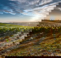 Perth to Margaret River Wine Tour - 2 Day Premium Boutique Wine Tour Experience - Accommodation Mount Tamborine