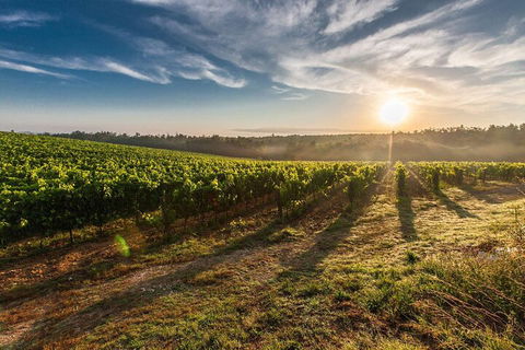Perth To Margaret River Wine Tour - 2 Day Premium Boutique Wine Tour Experience - Accommodation Mount Tamborine 0