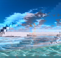 4-Day Coastal Loop via Monkey Mia Wild Dolphins Kalbarri Pinnacles Perth Return - Accommodation Mount Tamborine