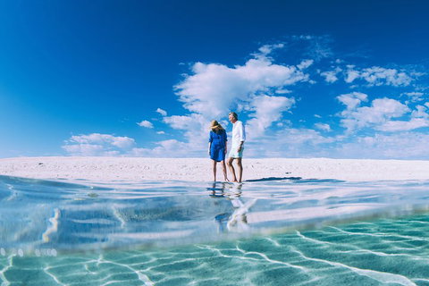 4-Day Coastal Loop Via Monkey Mia Wild Dolphins Kalbarri Pinnacles Perth Return - Accommodation Mount Tamborine 0