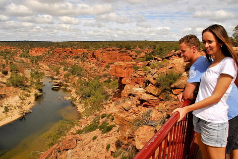 4-Day Coastal Loop Via Monkey Mia Wild Dolphins Kalbarri Pinnacles Perth Return - Accommodation Mount Tamborine 3