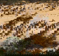 Pinnacles Sunset Dinner and Stargazing Experience a Small Group Tour - Accommodation Mount Tamborine