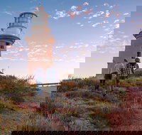 6-Day Coral Coaster from Perth to Exmouth One-Way via Monkey Mia Ningaloo Reef - Accommodation Mount Tamborine