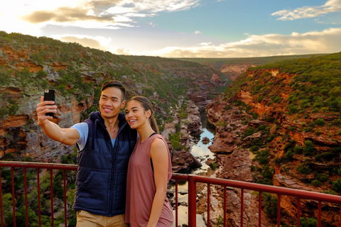 6-Day Coral Coaster From Perth To Exmouth One-Way Via Monkey Mia Ningaloo Reef - Accommodation Mount Tamborine 1