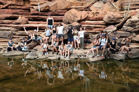 6-Day Coral Coaster From Perth To Exmouth One-Way Via Monkey Mia Ningaloo Reef - Accommodation Mount Tamborine 2