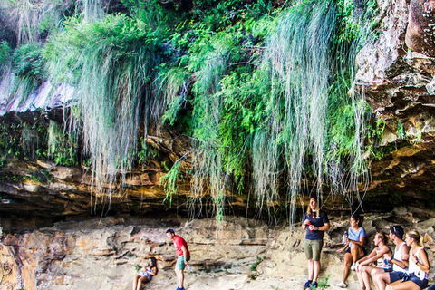 Sunset Blue Mountains Wilderness & Wildlife Tour Without The Crowds - Accommodation Mount Tamborine 1