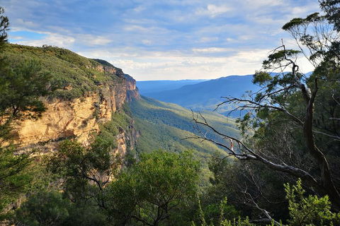 Sunset Blue Mountains Wilderness & Wildlife Tour Without The Crowds - Accommodation Mount Tamborine 2