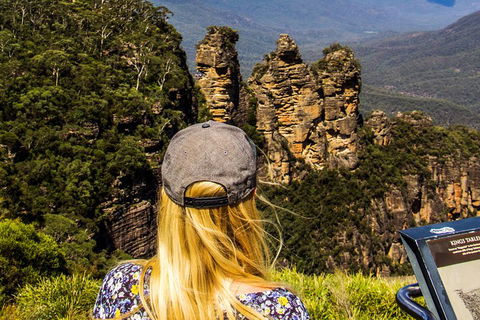 Sunset Blue Mountains Wilderness & Wildlife Tour Without The Crowds - Accommodation Mount Tamborine 4