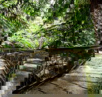 12 Apostles Eco-Friendly Great Ocean Road Iconic Adventure from Melbourne - Accommodation Mount Tamborine