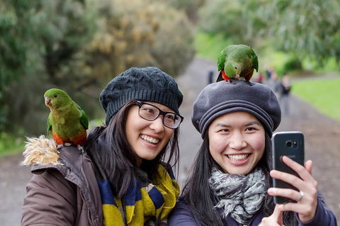 12 Apostles Eco-Friendly Great Ocean Road Iconic Adventure From Melbourne - Accommodation Mount Tamborine 1
