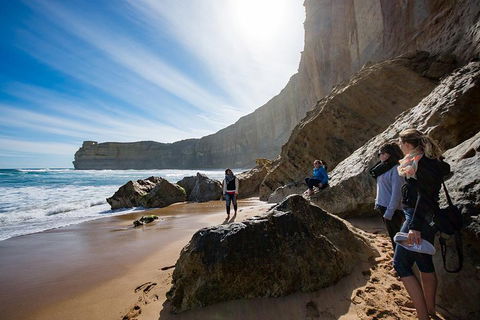 12 Apostles Eco-Friendly Great Ocean Road Iconic Adventure From Melbourne - Accommodation Mount Tamborine 2