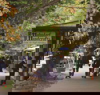 Adelaide Highlights Hahndorf  McLaren Vale Wine Tasting and Sightseeing Tour