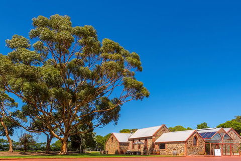 McLaren Vale And Glenelg Wine Tasting And Sightseeing (Half-day Afternoon) - Accommodation Mount Tamborine 5