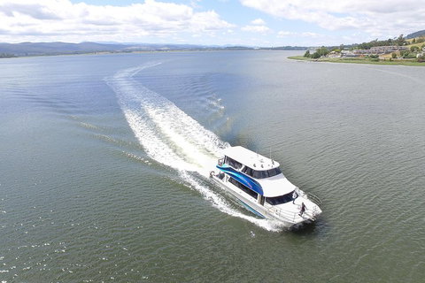 2.5 Hour Afternoon Discovery Cruise Including Cataract Gorge Departs At 1: 30 Pm - Accommodation Mount Tamborine 4