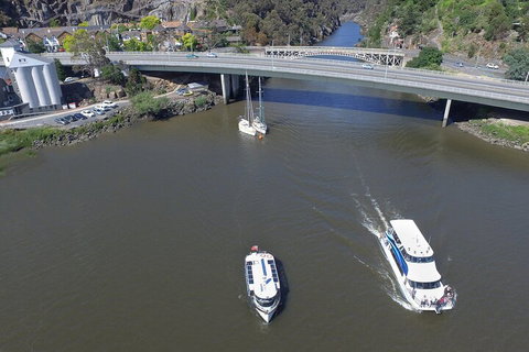 2.5 Hour Afternoon Discovery Cruise Including Cataract Gorge Departs At 1: 30 Pm - Accommodation Mount Tamborine 5