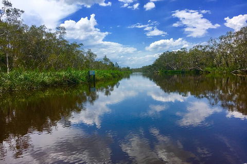 Noosa Everglades Serenity Cruise & Highlights Tour Inc. Lunch & Cruise - Accommodation Mount Tamborine 0