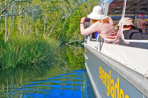 Noosa Everglades Serenity Cruise & Highlights Tour Inc. Lunch & Cruise - Accommodation Mount Tamborine 2