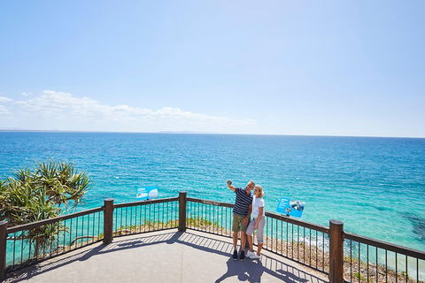 Noosa Everglades Serenity Cruise & Highlights Tour Inc. Lunch & Cruise - Accommodation Mount Tamborine 3
