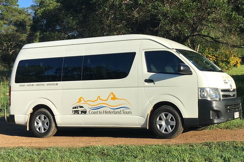 Noosa Everglades Serenity Cruise & Highlights Tour Inc. Lunch & Cruise - Accommodation Mount Tamborine 5