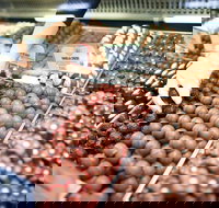 Pinnacles Desert Private Tour - Accommodation Mount Tamborine