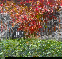 Margaret River Private Tour - Accommodation Mount Tamborine