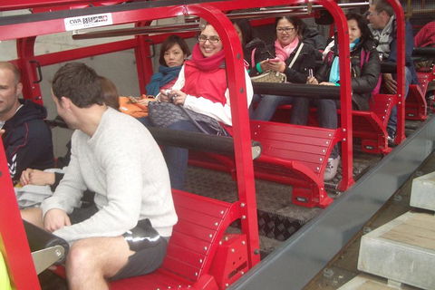 Blue Mountains Private Tour With Wildlife Park And River Cruise - Accommodation Mount Tamborine 0