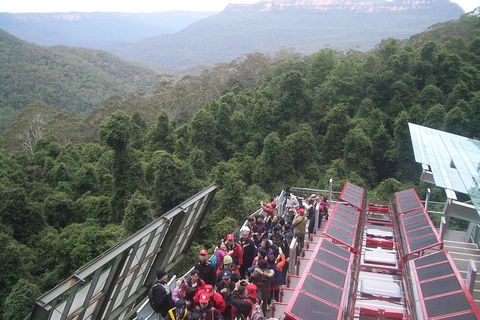 Blue Mountains Private Tour With Wildlife Park And River Cruise - Accommodation Mount Tamborine 1