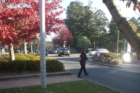 PRIVATE All-Day Blue Mountains Tour With Professional Guide For Up To 4 People - Accommodation Mount Tamborine 1