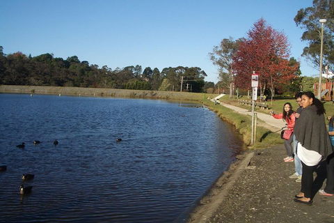 PRIVATE All-Day Blue Mountains Tour With Professional Guide For Up To 4 People - Accommodation Mount Tamborine 2