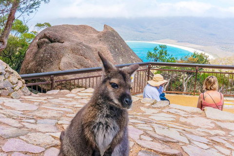 Wineglass Bay & Freycinet NP Full Day Tour From Hobart Via Richmond Village - Accommodation Mount Tamborine 0