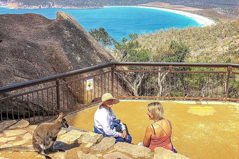 Wineglass Bay & Freycinet NP Full Day Tour From Hobart Via Richmond Village - Accommodation Mount Tamborine 1