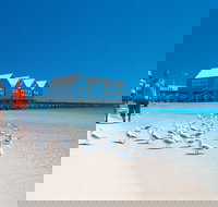 Margaret River and Geographe Bay Region Day Trip from Perth - Accommodation Mount Tamborine