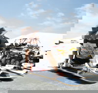 Sandboard Hire Lancelin Sand Dunes - Accommodation Mount Tamborine