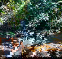 Aquaduck  Your choice of Gold Coast Rainforest Tour - Accommodation Mount Tamborine