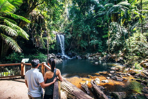 Aquaduck & Your Choice Of Gold Coast Rainforest Tour - Accommodation Mount Tamborine 0