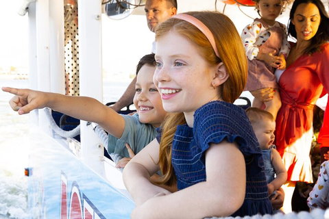 Aquaduck & Your Choice Of Gold Coast Rainforest Tour - Accommodation Mount Tamborine 2