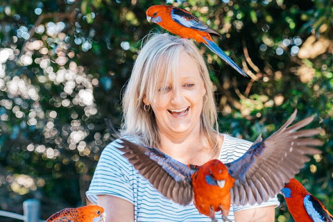 Aquaduck & Your Choice Of Gold Coast Rainforest Tour - Accommodation Mount Tamborine 5